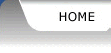 Secure Agent Home